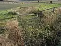 Sickerquellen am Weg