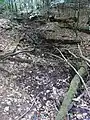 Mittelgebiet