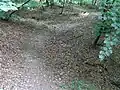 Trocken am Weg
