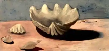Muscheln am Strand