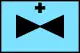 Sanitäts­hubschrauber (MedEvac)