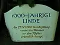 Legende an der„1000-jährigen Linde“