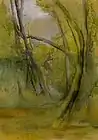Old Trees, Faeron’s Bush, Motueka (ca. 1924–1926)