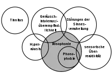 Einordnung der Misophonie im Zusammenhang mit verwandten Konstrukten.