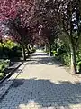 Mittelweg Richtung Süden