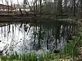 Mittlerer Teich