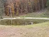 Der mittlere Schwanenweiher vom Auslauf betrachtet