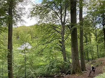 Schaafenkotten im mittleren Ittertal
