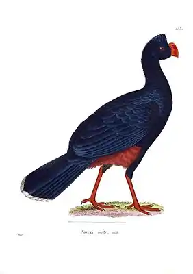 Mituhokko
