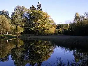 Möllerteich im Herbst 2011