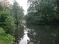 Stadtpark mit Insel