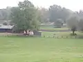 Streichelzoo im Freizeitpark