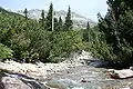 Moesa unterhalb des San-Bernardino-Passes