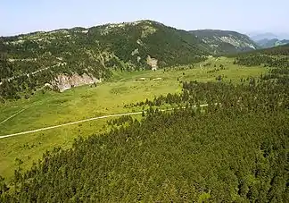 Die Mokra Gora ist stark bewaldet