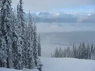 Winterlandschaft in den Monashee Mountains