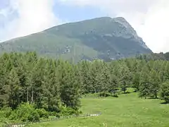 Monte Stivo, vom Weg zwischen Passo S. Barbara und der Alm le Prese aus gesehen