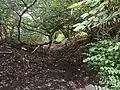 Moorgraben am RHB, Richtung Westen