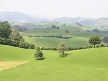 Moränenlandschaft um Menzingen