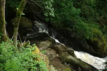 Anstehender Granodiorit am Zustrom des Moulin de Pinard