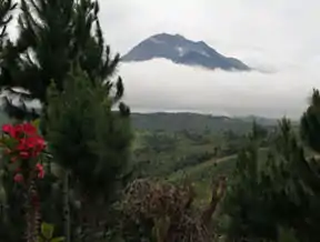 Mount Apo Natural Park
