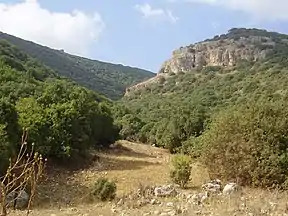 Carmel Gebirge