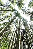 Die touristische Nutzung ist im Mt. Hood National Forest besonders intensiv.