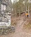 Steiler Trail