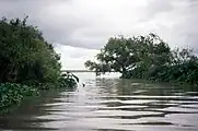 Mündung des South Guadalupe River bei Guadalupe Bay