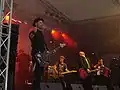 Mr. Irish Bastard