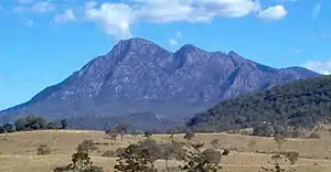 Gondwana-Regenwälder von Australien