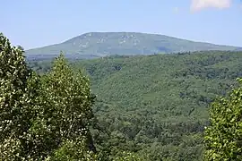 Ausgedehnte Wälder im Nationalpark