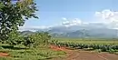 Mt. Uluguru in Morogoro