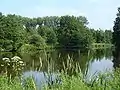 Panorama des großen Sees