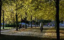 Herbststimmung an der Promenade