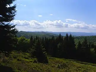 Blick auf den Ceangău