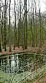 Einer der vielen Löschwasserteiche im Gelände