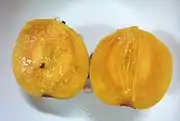 Garcinia dulcis