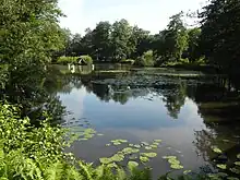 Mühlenteich der Örtze in der Nähe des Ortszentrums