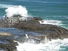 "Extrem-Angeln" bei Muriwai