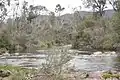 Murray River bei Tom Groggin