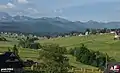 Almwirtschaft
