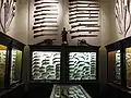 Waffensammlung im Museum
