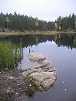 Mustalampi-See