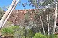 River Red Gums