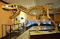 Tarbosaurus