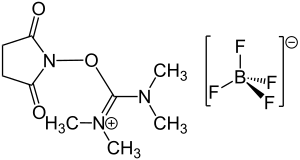 Struktur von TSTU