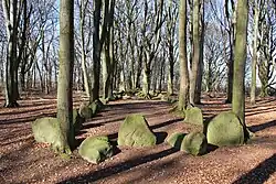 Großsteingrab Bliedersdorf 4