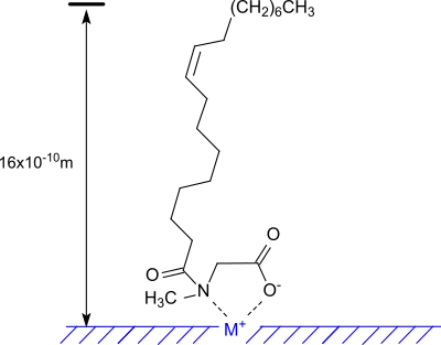 Adsorption von N-Oleoylsarcosin an Metalloberflächen