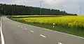 Die N20 bei Allerborn in Richtung Wintger-Féitsch