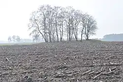 Großsteingrab Engeo 2